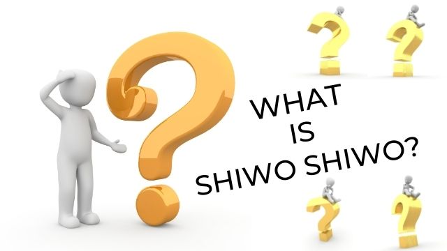 What is shiwoshiwo in codm
