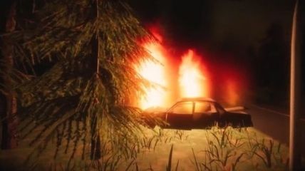 A car is burning near the tree on roadside.